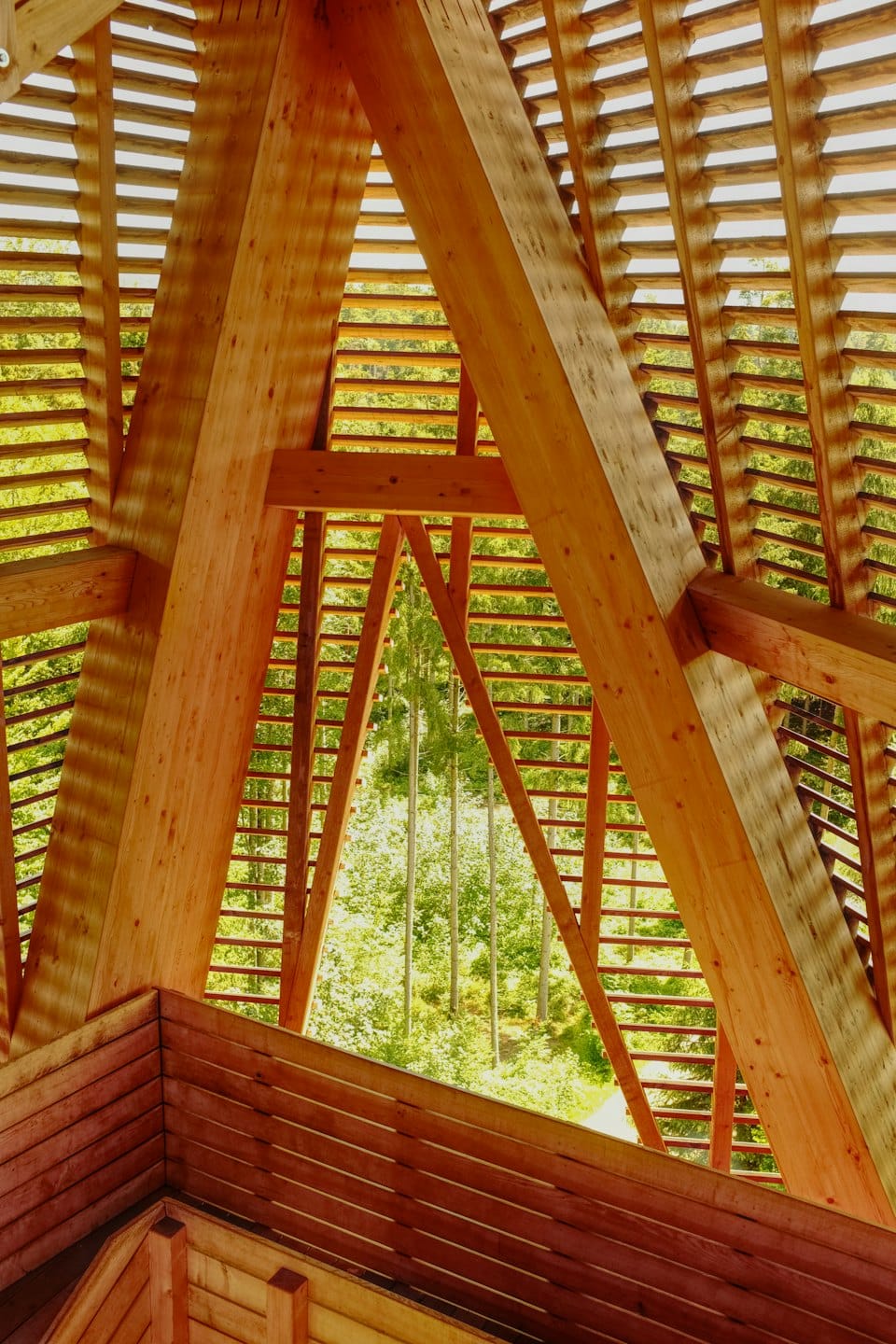 Modern wooden structure with beams framing a green forest.